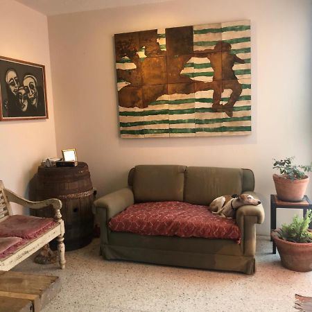 Posada Barbario Con 4 Habitaciones Oaxaca ภายนอก รูปภาพ